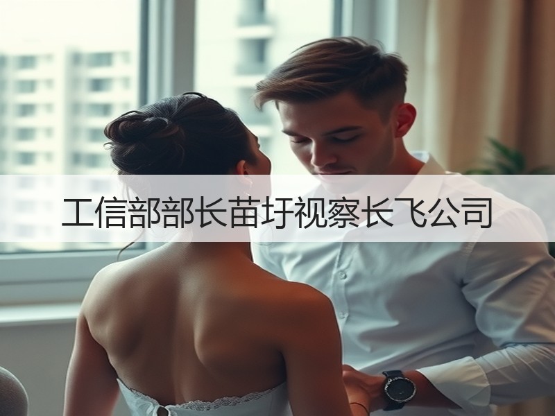 工信部部长苗圩视察长飞公司