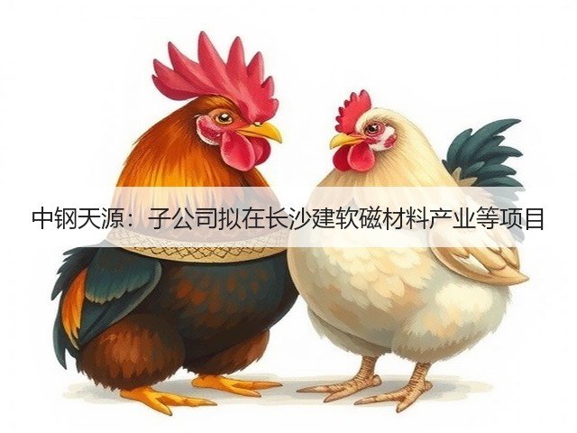 中钢天源：子公司拟在长沙建软磁材料产业等项目(图1)