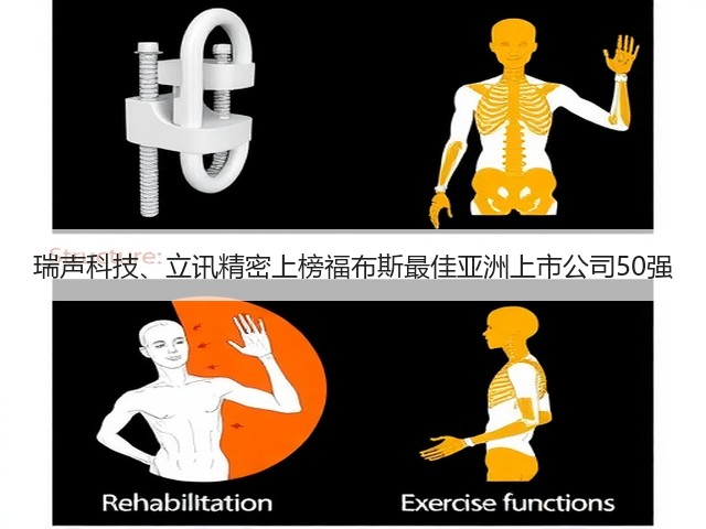 瑞声科技、立讯精密上榜福布斯最佳亚洲上市公司50强(图3) 瑞声科技、立讯精密上榜福布斯最佳亚洲上市公司50强(图3)