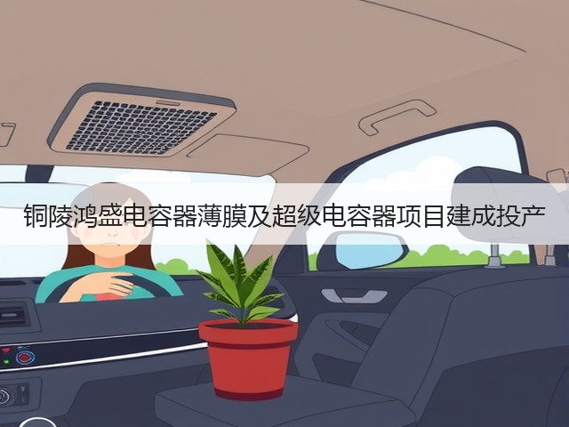 铜陵鸿盛电容器薄膜及超级电容器项目建成投产(图3)