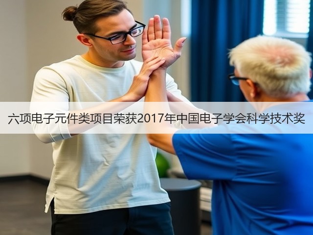六项电子元件类项目荣获2017年中国电子学会科学技术奖(图1) 六项电子元件类项目荣获2017年中国电子学会科学技术奖(图1)