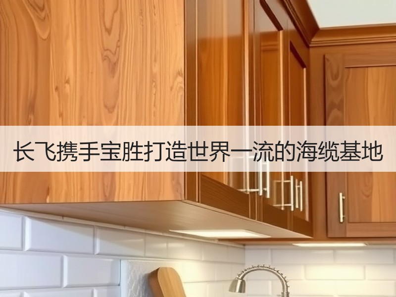 长飞携手宝胜打造世界一流的海缆基地