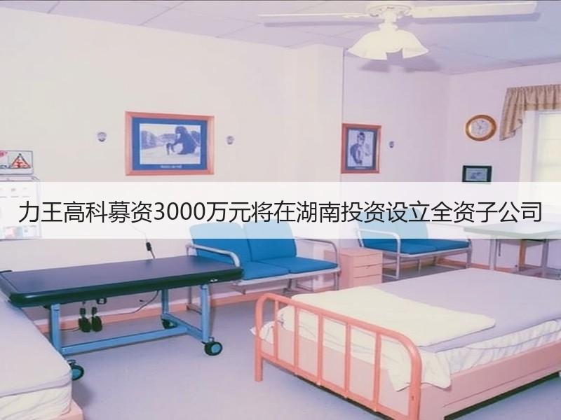 力王高科募资3000万元将在湖南投资设立全资子公司