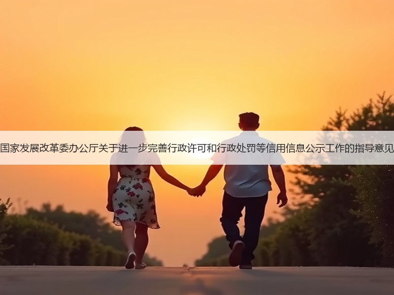 国家发展改革委办公厅关于进一步完善行政许可和行政处罚等信用信息公示工作的指导意见
