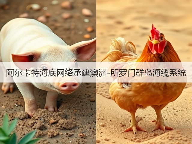 阿尔卡特海底网络承建澳洲-所罗门群岛海缆系统(图3)