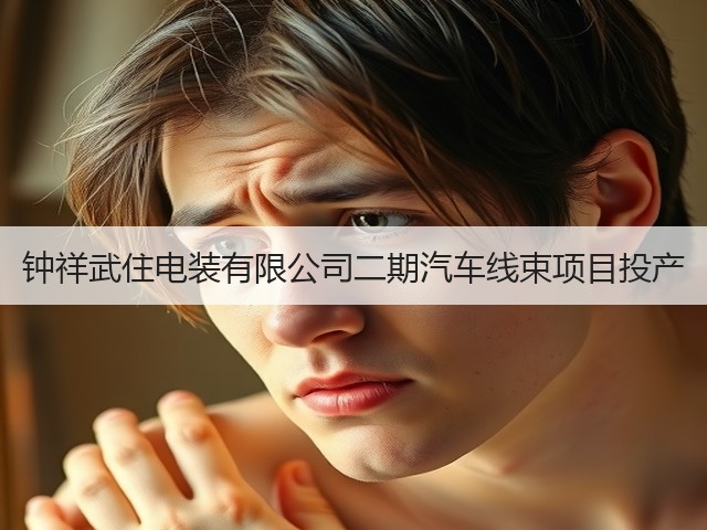钟祥武住电装有限公司二期汽车线束项目投产(图3)