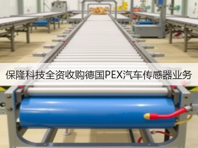 保隆科技全资收购德国PEX汽车传感器业务(图1) 保隆科技全资收购德国PEX汽车传感器业务(图1)