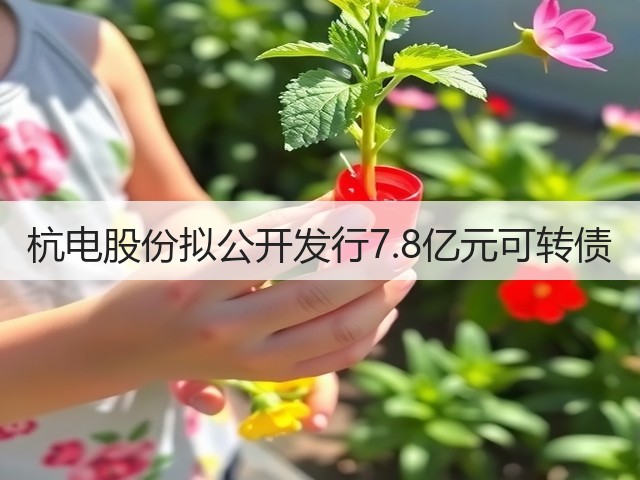 杭电股份拟公开发行7.8亿元可转债(图3)