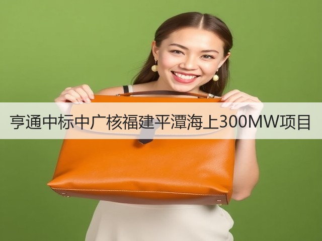 亨通中标中广核福建平潭海上300MW项目(图3) 亨通中标中广核福建平潭海上300MW项目(图3)
