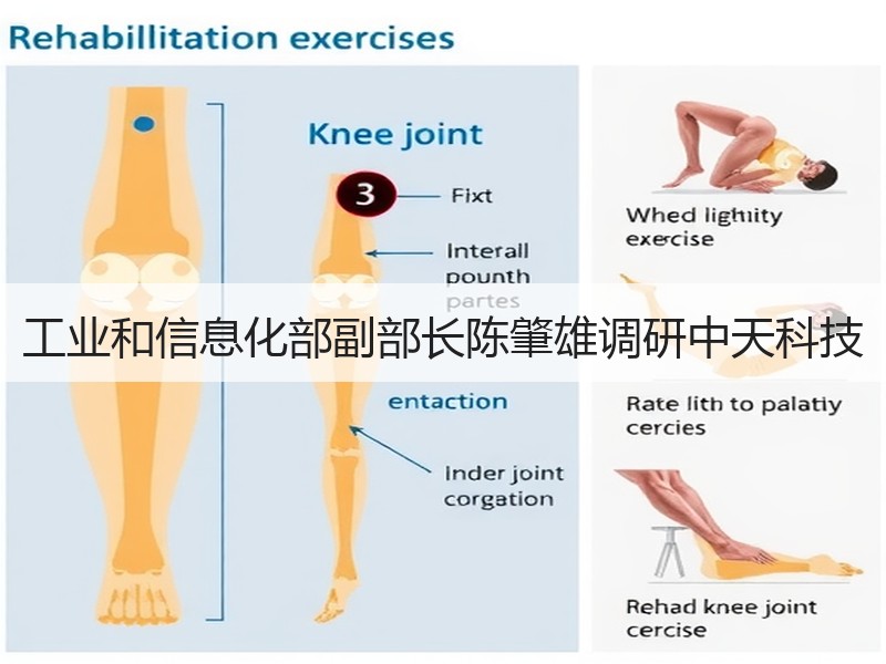 工业和信息化部副部长陈肇雄调研中天科技