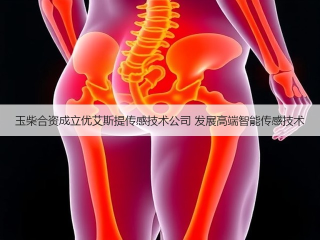 玉柴合资成立优艾斯提传感技术公司 发展高端智能传感技术(图2) 玉柴合资成立优艾斯提传感技术公司 发展高端智能传感技术(图2)