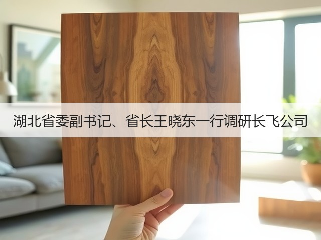 湖北省委副书记、省长王晓东一行调研长飞公司(图2) 湖北省委副书记、省长王晓东一行调研长飞公司(图2)