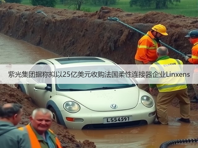 紫光集团据称拟以25亿美元收购法国柔性连接器企业Linxens(图2) 紫光集团据称拟以25亿美元收购法国柔性连接器企业Linxens(图2)