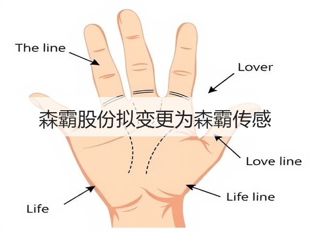 森霸股份拟变更为森霸传感(图3)