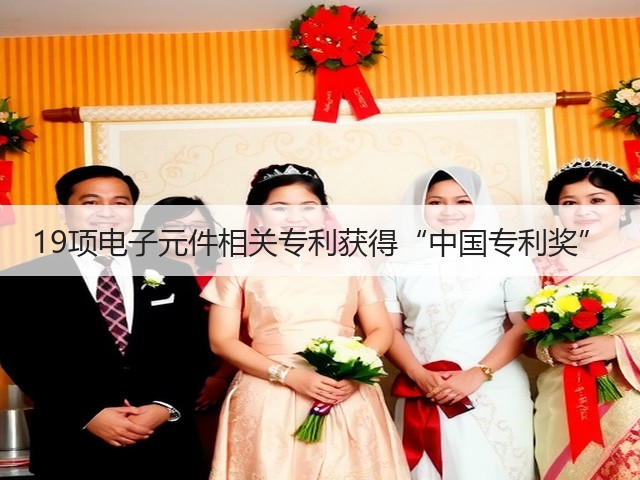 19项电子元件相关专利获得“中国专利奖”(图3) 19项电子元件相关专利获得“中国专利奖”(图3)