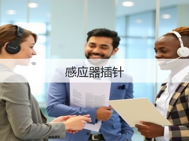 感应器插针(图1)