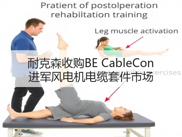 耐克森收购BE CableCon 进军风电机电缆套件市场(图2) 耐克森收购BE CableCon 进军风电机电缆套件市场(图2)