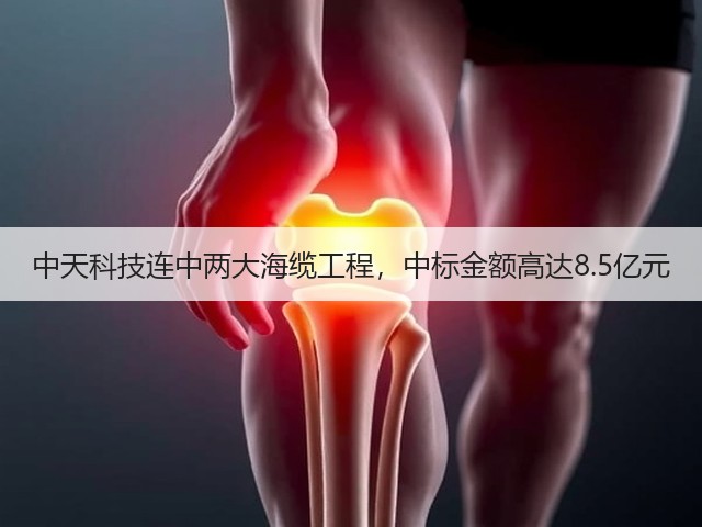 中天科技连中两大海缆工程,中标金额高达8.5亿元(图3) 中天科技连中两大海缆工程,中标金额高达8.5亿元(图3)
