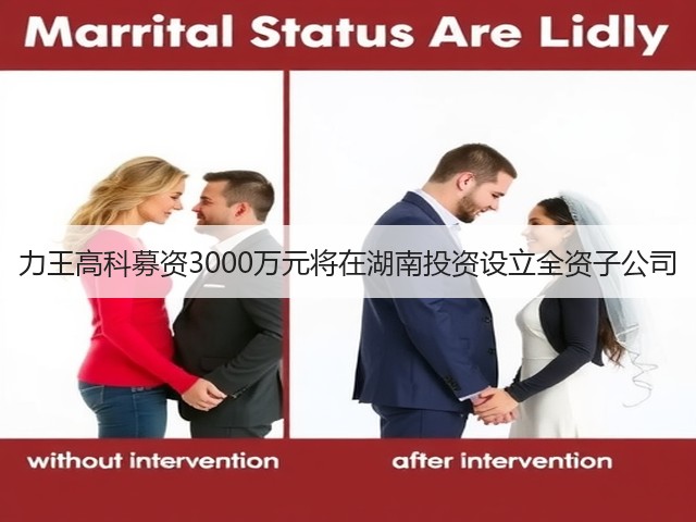 力王高科募资3000万元将在湖南投资设立全资子公司(图2) 力王高科募资3000万元将在湖南投资设立全资子公司(图2)