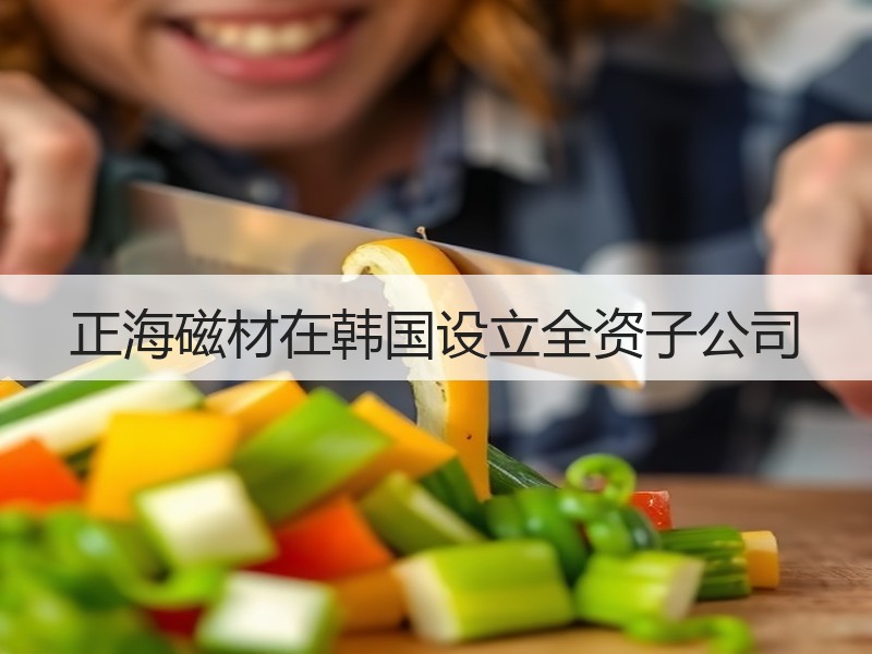 正海磁材在韩国设立全资子公司