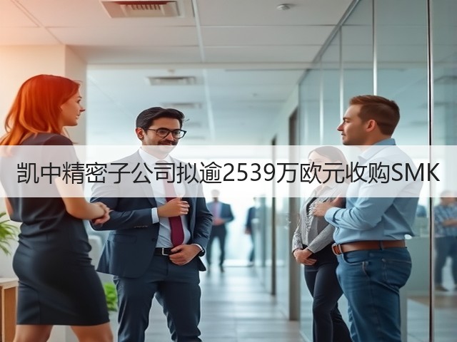 凯中精密子公司拟逾2539万欧元收购SMK(图3) 凯中精密子公司拟逾2539万欧元收购SMK(图3)