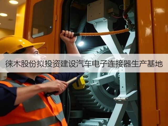 徕木股份拟投资建设汽车电子连接器生产基地(图3)