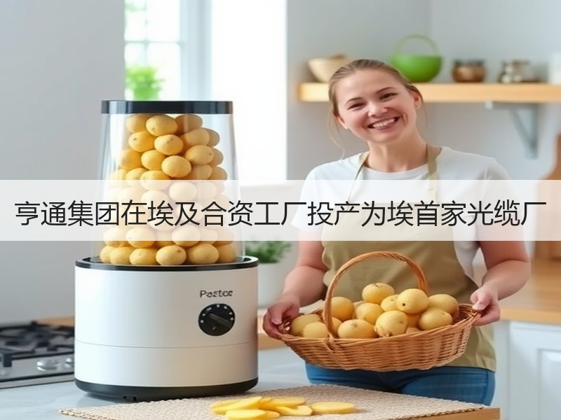 亨通集团在埃及合资工厂投产为埃首家光缆厂