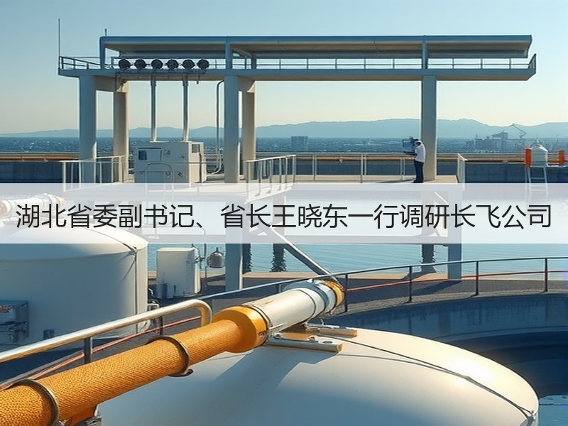 湖北省委副书记、省长王晓东一行调研长飞公司