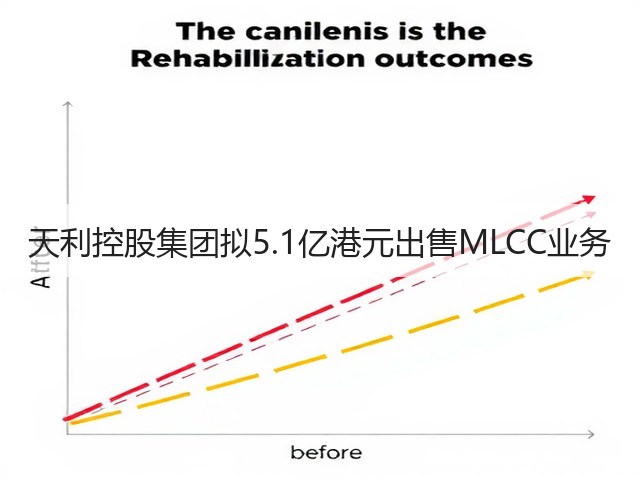 天利控股集团拟5.1亿港元出售MLCC业务(图3) 天利控股集团拟5.1亿港元出售MLCC业务(图3)