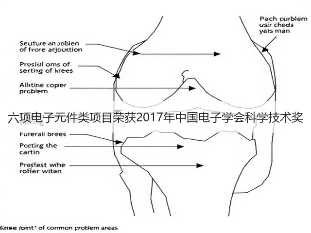 六项电子元件类项目荣获2017年中国电子学会科学技术奖(图3) 六项电子元件类项目荣获2017年中国电子学会科学技术奖(图3)