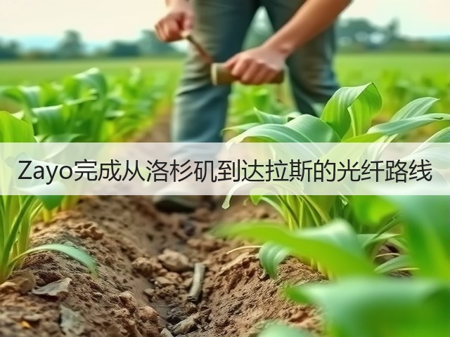 Zayo完成从洛杉矶到达拉斯的光纤路线(图1) Zayo完成从洛杉矶到达拉斯的光纤路线(图1)