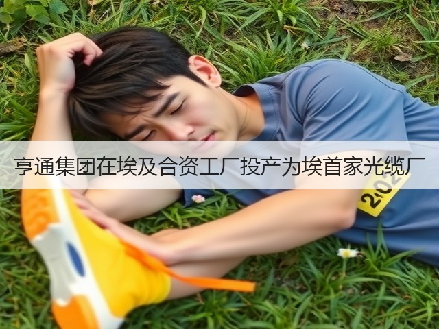 亨通集团在埃及合资工厂投产为埃首家光缆厂(图3)
