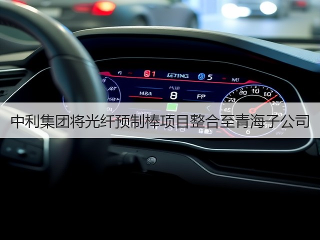 中利集团将光纤预制棒项目整合至青海子公司(图2) 中利集团将光纤预制棒项目整合至青海子公司(图2)